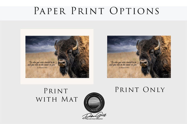 Inspirational Gift, Personalized Bison Art