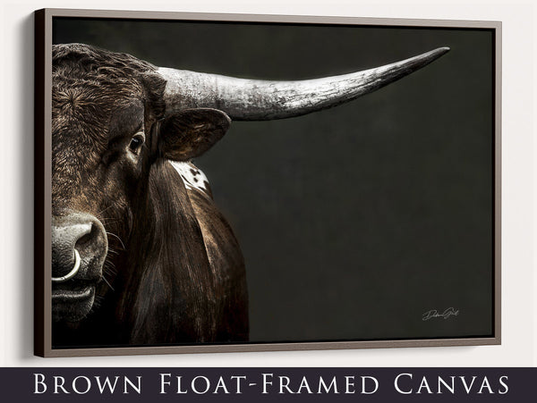 Intense Large Longhorn Canvas Art