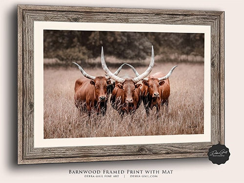 Reclaimed Barnwood Print, Watusi Longhorn Canvas Wall Art, Modern Western Decor Print, Extra Large Canvas, Framed Canvas, and Prints, Farmhouse Country Style Picture.