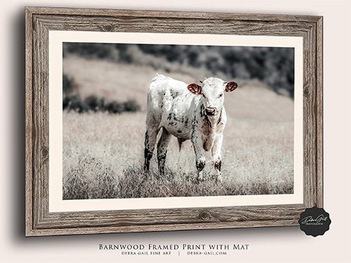 Texas Longhorn Calf Photography Decor Print