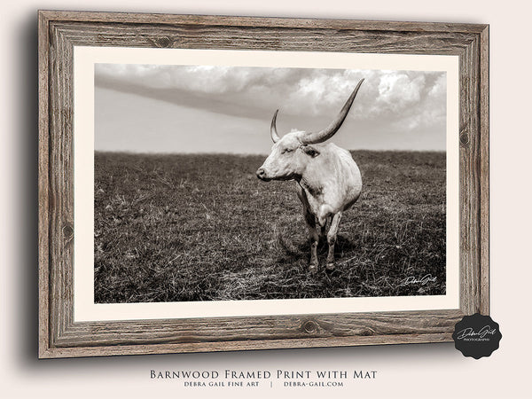 Barnwood framed Texas Longhorn in Pasture - Classic Ranch Style Wall Art, Longhorn Wall Art, Western Aesthetic Cow Picture, Western Home Decor Print in Sepia, Gift for Her