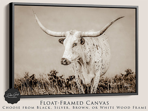 Framed canvas wrap, Longhorn Cow Picture Canvas Print, Texas Longhorns Cattle Art, Western Home Decor Neutral Colors, XL Cow Canvas Barnwood Frame