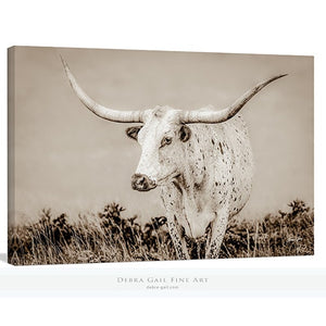 Longhorn Cow Picture Canvas Print, Texas Longhorns Cattle Art, Western Home Decor Neutral Colors, XL Cow Canvas Barnwood Frame