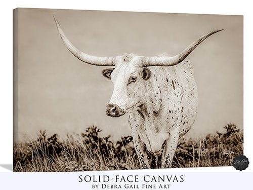 Longhorn Cow Picture Canvas Print, Texas Longhorns Cattle Art, Western Home Decor Neutral Colors, XL Cow Canvas Barnwood Frame