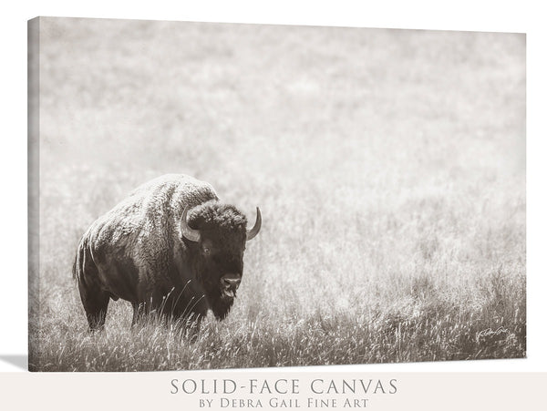 BISON PRINT IN NEUTRAL TONES - FARMHOUSE ART PRINT OR CANVAS