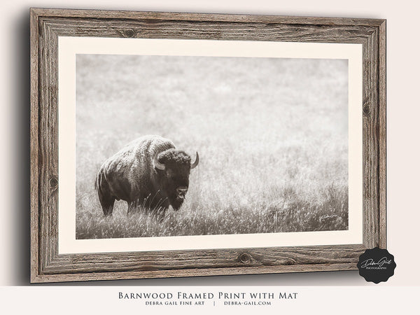 BISON PRINT IN NEUTRAL TONES - FARMHOUSE ART PRINT OR CANVAS