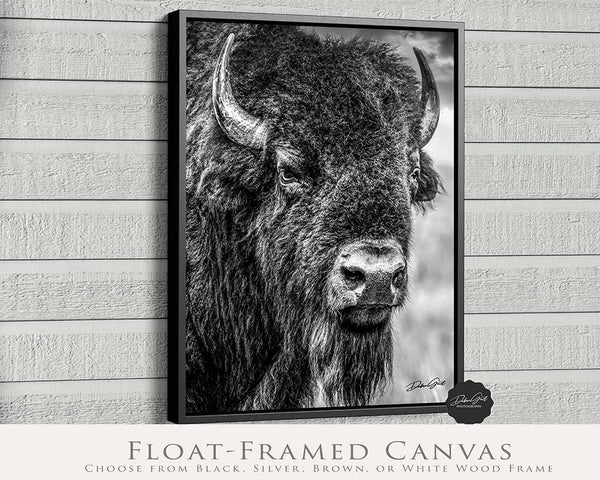 Buffalo Wall Art in Vertical Black and White