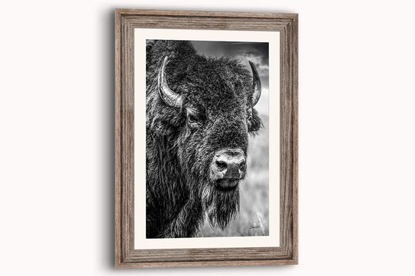 Buffalo Wall Art in Vertical Black and White