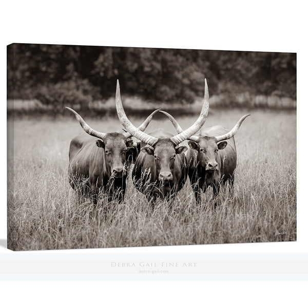 Beautiful Texas Longhorns Cow Print