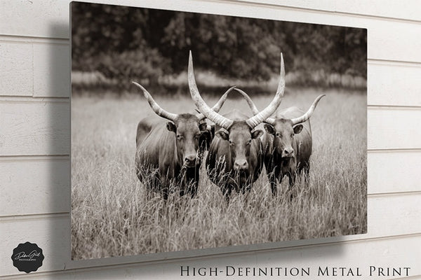 Beautiful Texas Longhorns Cow Print