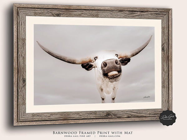 Large Longhorn Cow Canvas Wall Art