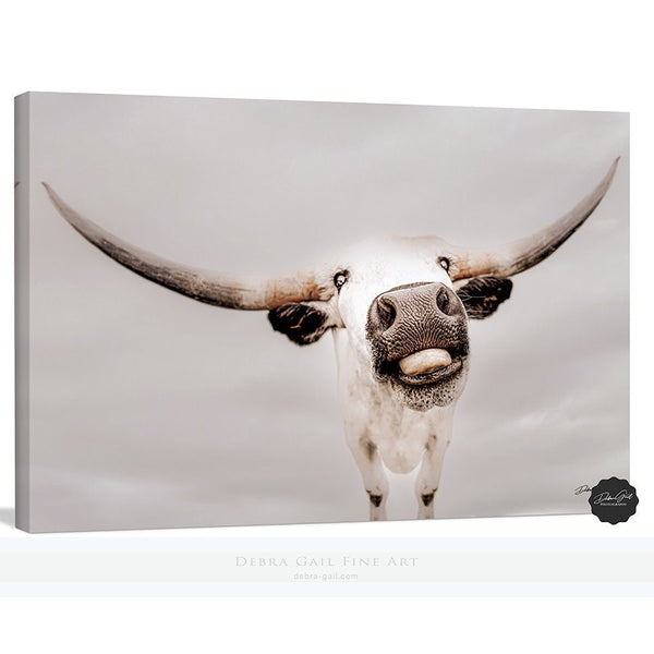 LONGHORN CUTENESS - SILLY FARMHOUSE NURSERY ART