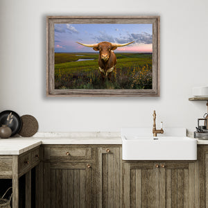 Texas Longhorn wall art – Western ranch photography print by Debra Gail Fine Art