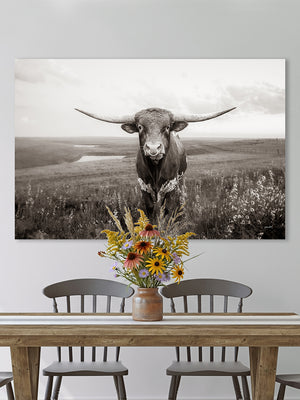 Texas longhorn cattle canvas wall art – western farmhouse decor