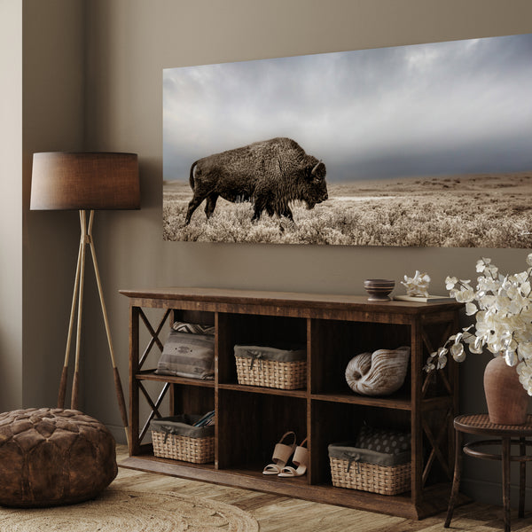 American Bison Panoramic Western Wall Art Canvas or Print