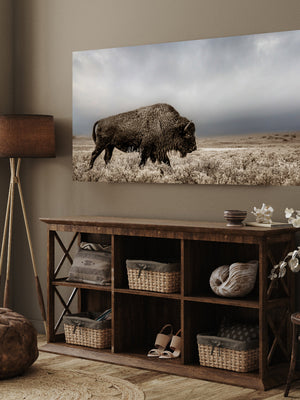 Bison wall art – rustic prairie photography print by Debra Gail Fine Art