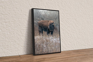 Bison wall art – vertical buffalo canvas prairie photography print by Debra Gail Fine Art
