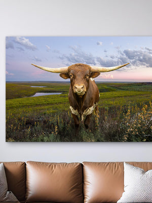 Texas Longhorn wall art – Western ranch photography print by Debra Gail Fine Art