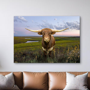 Texas Longhorn wall art – Western ranch photography print by Debra Gail Fine Art