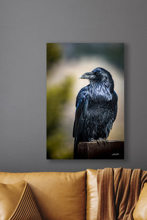 MAJESTIC RAVEN - WESTERN GOTHIC HOME DECOR