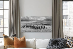 Black Angus Wall Art - Panoramic Angus Cattle Print Canvas | Rustic Decor