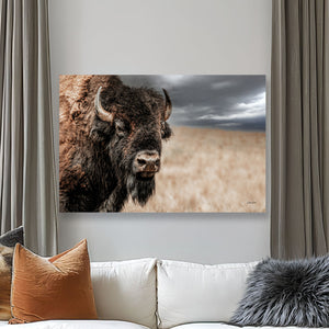 Bison Bull Close Up Photography | Rustic Buffalo Prairie Canvas Print