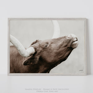 Texas Longhorn Cow Canvas | Rustic Farmhouse Wall Art Print