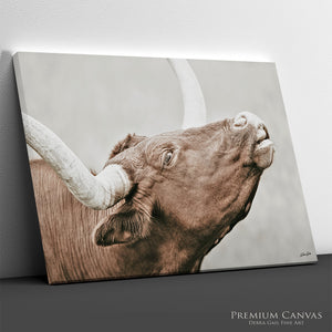 Texas Longhorn Cow Canvas | Rustic Farmhouse Wall Art Print