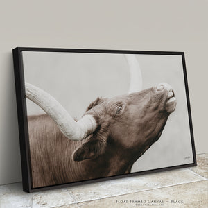 Texas Longhorn Cow Canvas | Rustic Farmhouse Wall Art Print