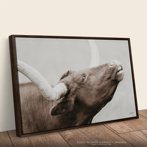Texas Longhorn Cow Canvas | Rustic Farmhouse Wall Art Print