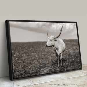 Texas Longhorn Wall Art | Large Neutral Canvas - Rustic Western Decor