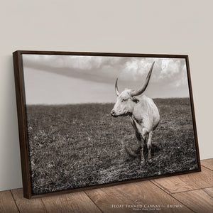 Texas Longhorn Wall Art | Large Neutral Canvas - Rustic Western Decor