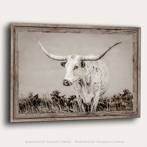 Longhorn Canvas Wall Art | Texas Longhorn Art - Rustic Western Wall Decor