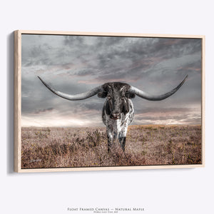 Texas Longhorn Wall Art | Huge Horns Rustic Western Canvas Print