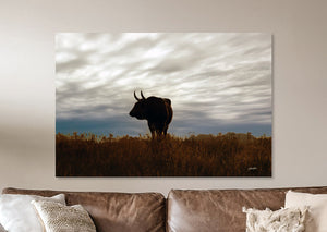 Texas Longhorn Bull Wall Art Canvas | Natural Colors Western Ranch Fine Art