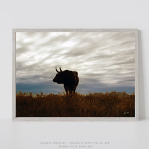 Texas Longhorn Bull Wall Art Canvas | Natural Colors Western Ranch Fine Art