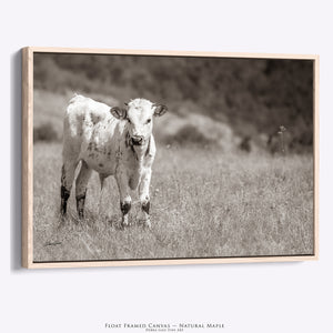 Longhorn Calf Print | Cute Farmhouse Decor