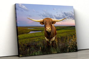 Texas Longhorn wall art – Western ranch photography print by Debra Gail Fine Art
