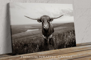 Texas cattle wall art – neutral farmhouse style