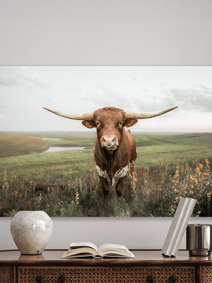 Texas longhorn cattle canvas wall art – western farmhouse decor