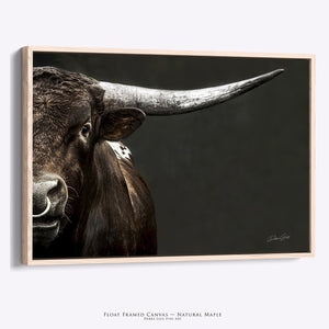 Longhorn Bull Art – Texas Longhorn Print | Masculine Wall Decor Canvas