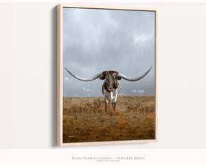 A vertical framed canvas print featuring a longhorn cow standing in a dry grass field under a cloudy sky.