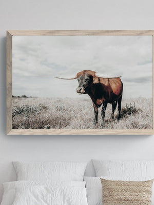 Longhorn cow wall decor canvas – rustic Western fine art print by Debra Gail Fine Art