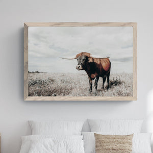 Longhorn cow wall decor canvas – rustic Western fine art print by Debra Gail Fine Art