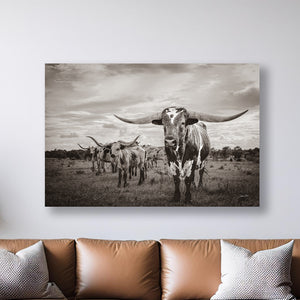Texas Longhorn wall art – Western ranch photography print by Debra Gail Fine Art
