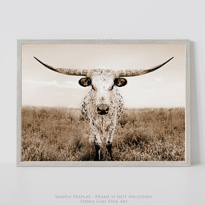 Longhorn wall decor – rustic Western fine art print by Debra Gail Fine Art