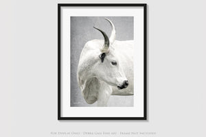Texas Longhorn wall art – Western ranch photography print by Debra Gail Fine Art