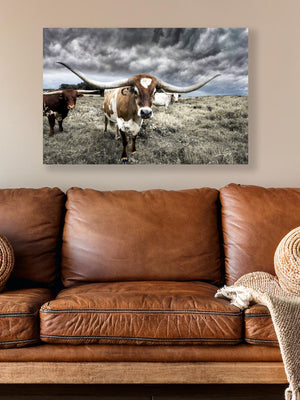 Longhorn cow wall decor canvas – rustic Western fine art print by Debra Gail Fine Art