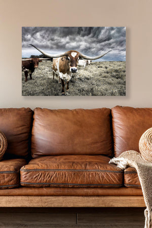 Longhorn cow wall decor canvas – rustic Western fine art print by Debra Gail Fine Art