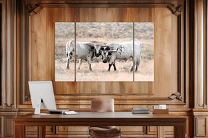 Cow triptych wall art – rustic Western split canvas photography by Debra Gail Fine Art